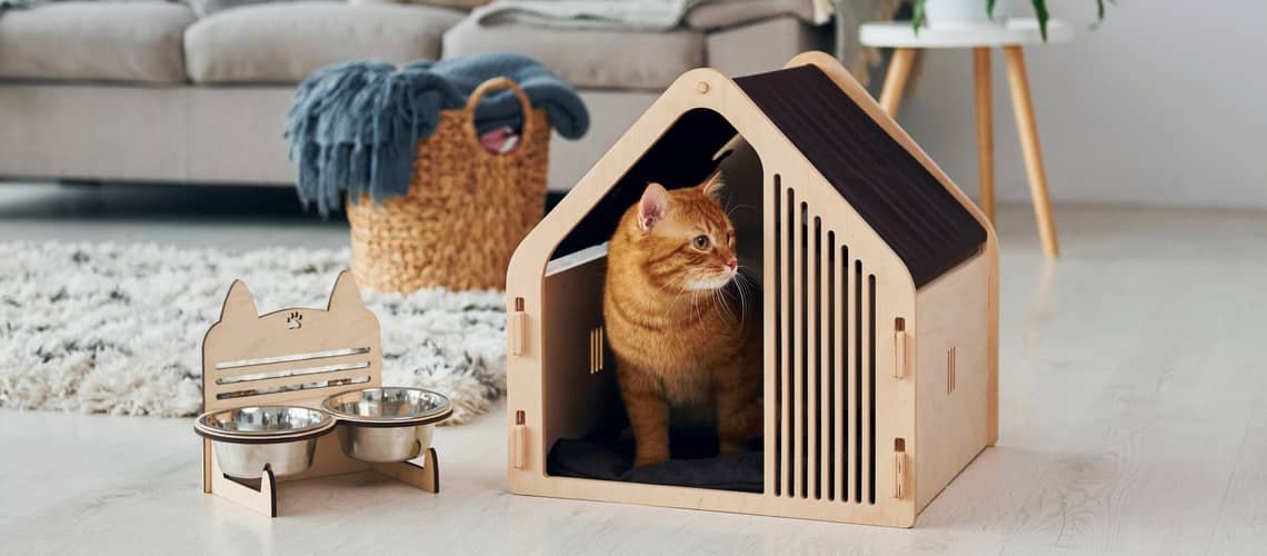 Ako vyrobiť domček pre mačku