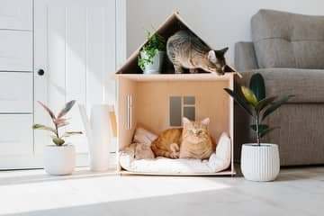 Ako vyrobiť domček pre mačku