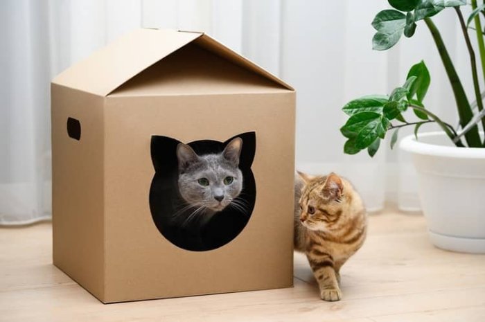 Kartónový domček pre mačky