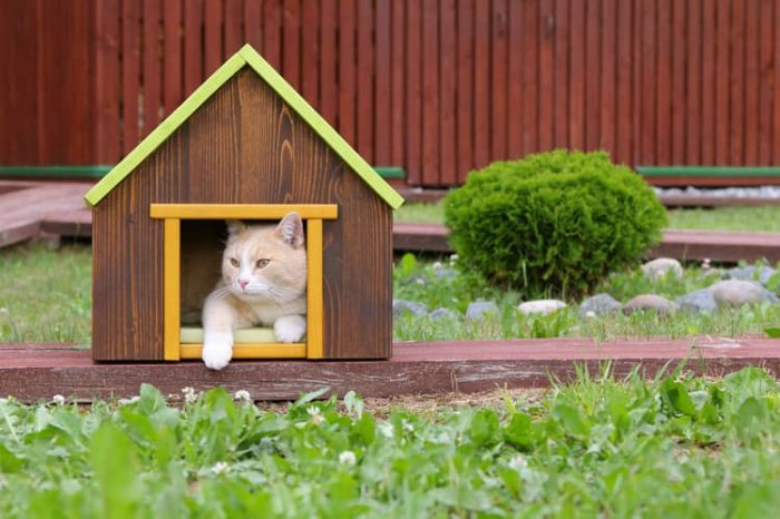 Vonkajší domček pre mačky