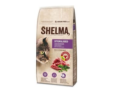 Shelma Cat Sterilised