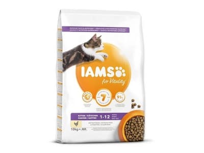 IAMS Kitten