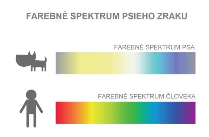 Farebné spektrum psa a človeka