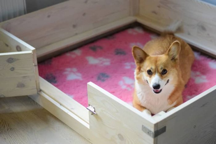 Pôrodný box pre psa