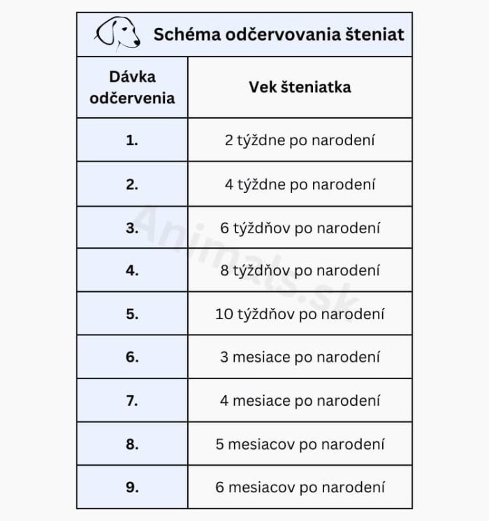 Schéma odčervovania šteniat