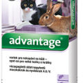 Advantage 80 10% 1x0,8ml pre mačky nad 4kg