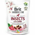 Brit Care Dog Crunchy Crack. Insec. Lamb Raspber 200g 