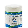 Canina Schlank & Vital 500g