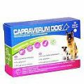 CAPRAVERUM DOG probioticum-prebioticum 30tbl