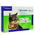Effipro DUO Cat (1-6 kg) 50/60 mg, 4x0,5 ml