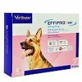 Effipro DUO Dog L (20-40 kg) 268/80 mg, 4x2,68 ml VÝPREDAJ