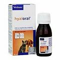 Hyaloral gél pre mačky a malé psy 50ml