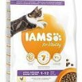 Iams Cat Kitten Chicken 10kg