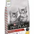 ProPlan Cat Kitten kura 10kg