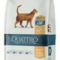 QUATTRO Cat Dry Premium all Breed Adult Poultry 1,5kg 3 + 1 zadarmo