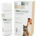 WeGastro 60ml