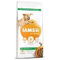 IAMS DOG AD LR CKN 12KG