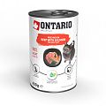 Ontario konzerva hovädzie s lososom ochutené spirulinou 400 g