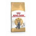 Royal Canin British Shorthair 10kg