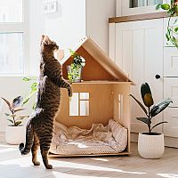 Drevený domček pre mačku