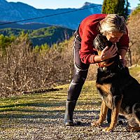 Beauceron povaha