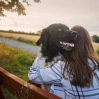 Český horský pes povaha